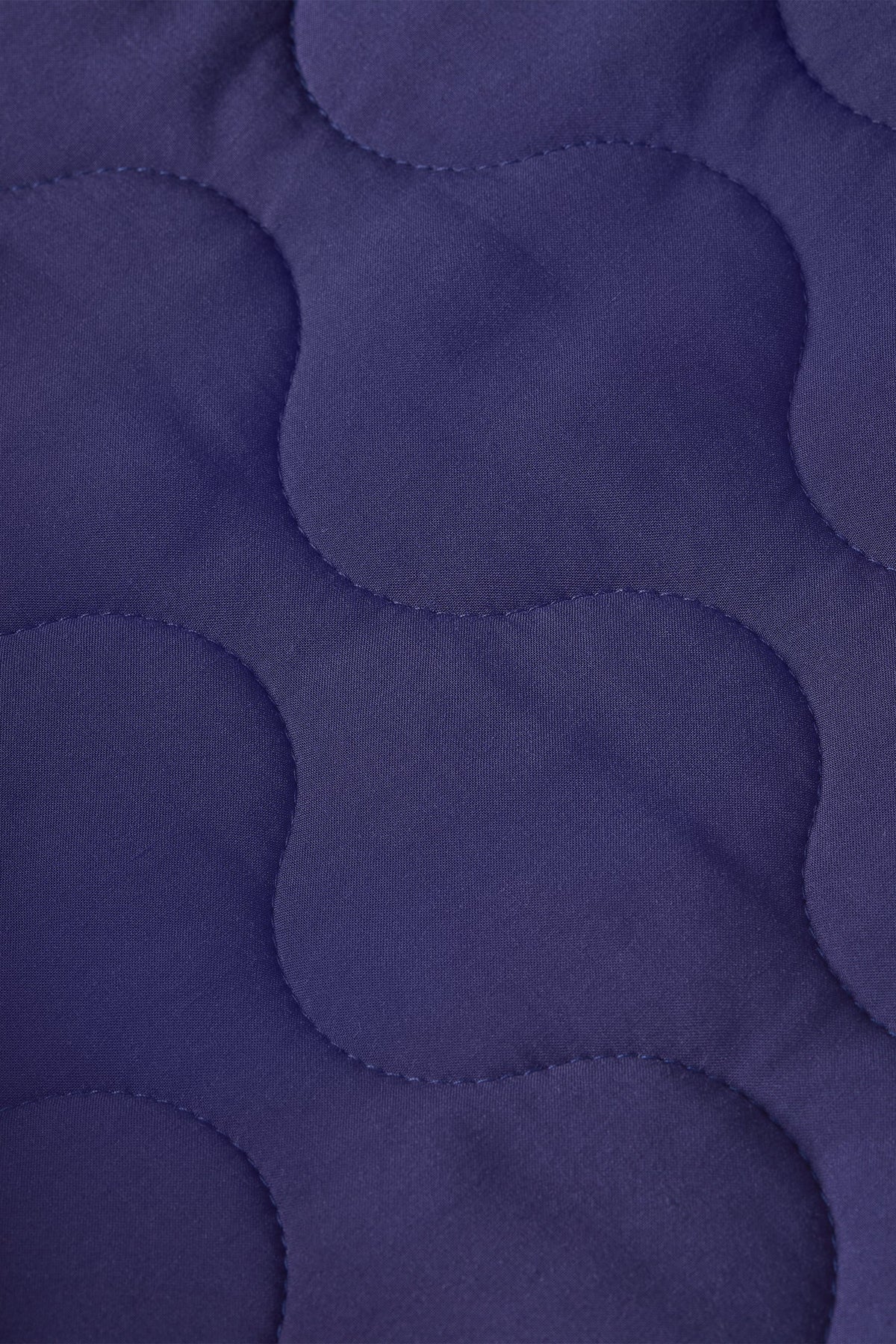 jiggy_jacket_art_check_6.jpg