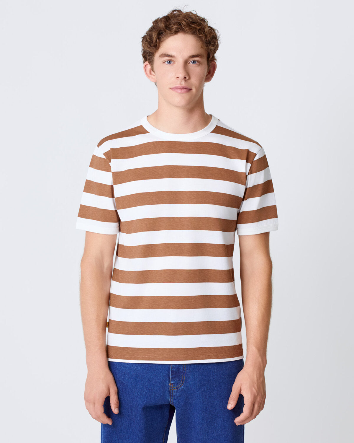 MENERES_AZTEC_BROWN_STRIPES_LB1.jpg