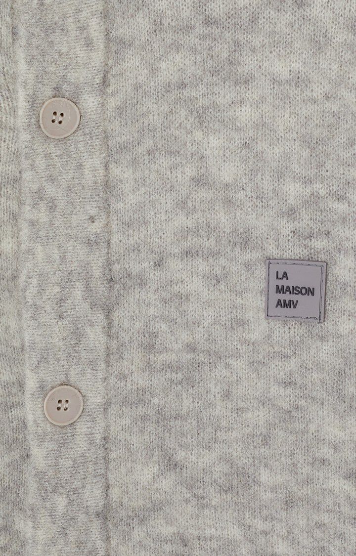 HOMME GILET VITOW_gris clair_7.jpeg